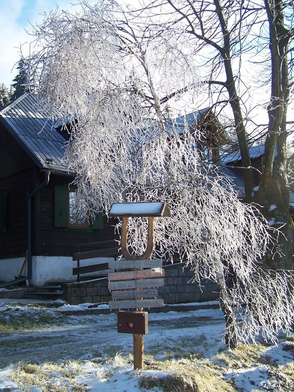 Chata Pod Koberstejnem Rejvíz Exterior foto